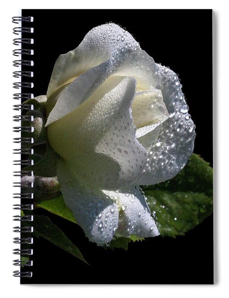 White Spiral Notebook featuring the photograph Emanating by Doug Norkum