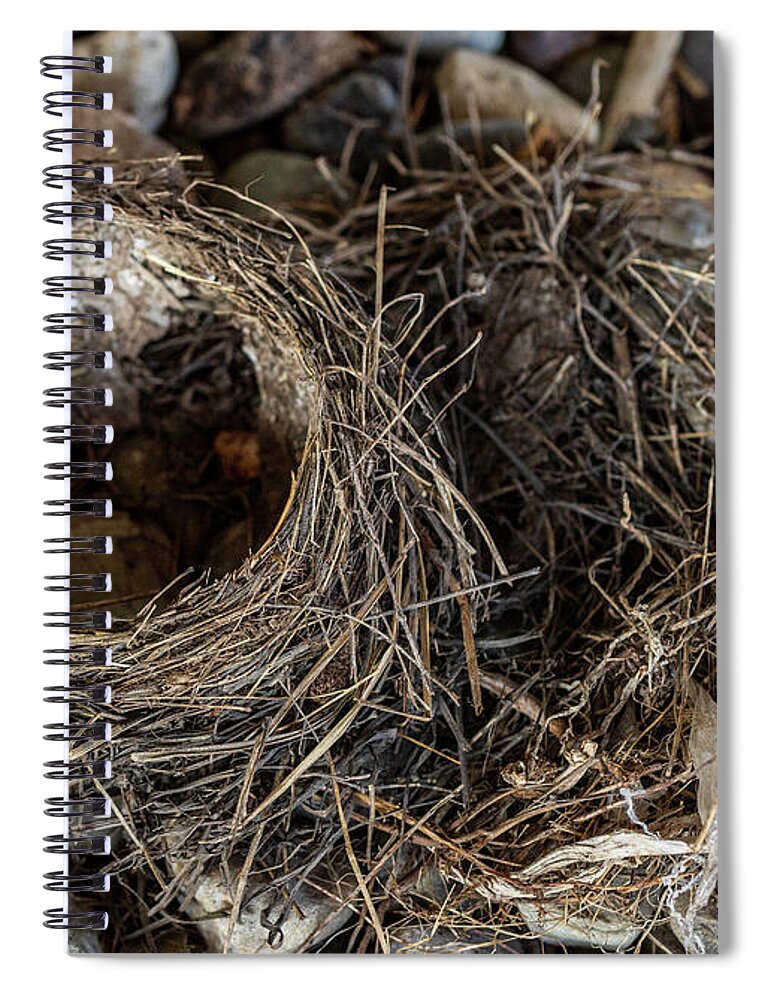 Animals Spiral Notebook featuring the photograph Empty Nest - Wildlife Photography 2 by Amelia Pearn