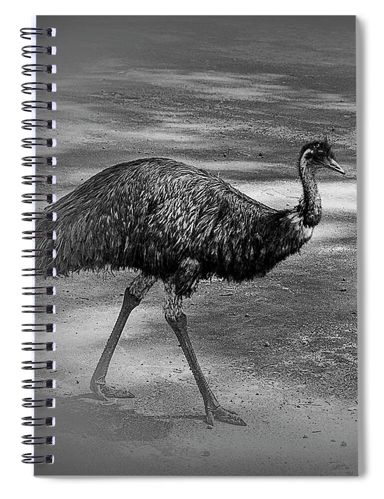 Emu Spiral Notebook featuring the photograph Emu Walking by Elaine Teague