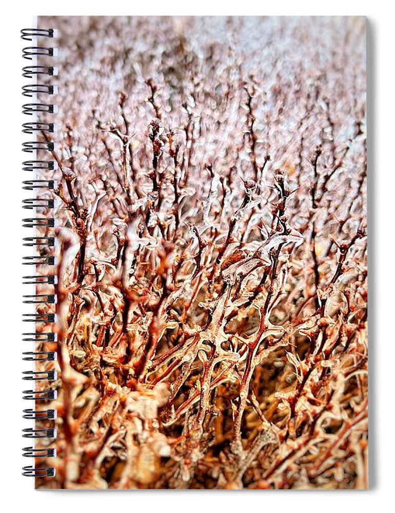 Winter Spiral Notebook featuring the photograph Encased in Ice by Chris Montcalmo