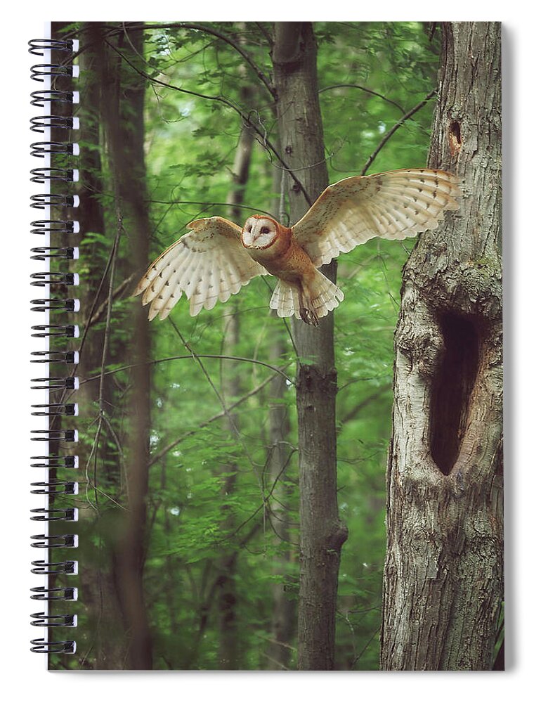 Enchanted Forest Spiral Notebook featuring the photograph Enchanted Forest Cropped Version by Carrie Ann Grippo-Pike