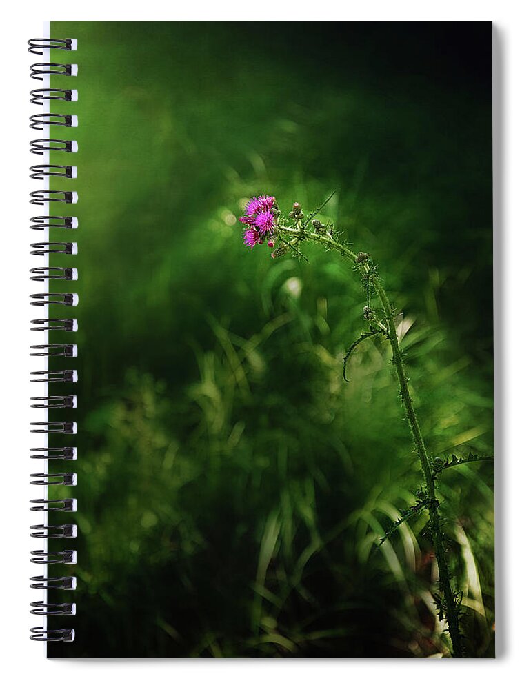 Thistle Wildflower Picture Spiral Notebook featuring the photograph Enchanted Forest Picture by Gwen Gibson