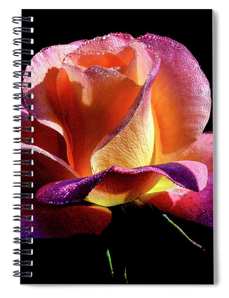 Rose Spiral Notebook featuring the photograph Enchantment #2 by Doug Norkum