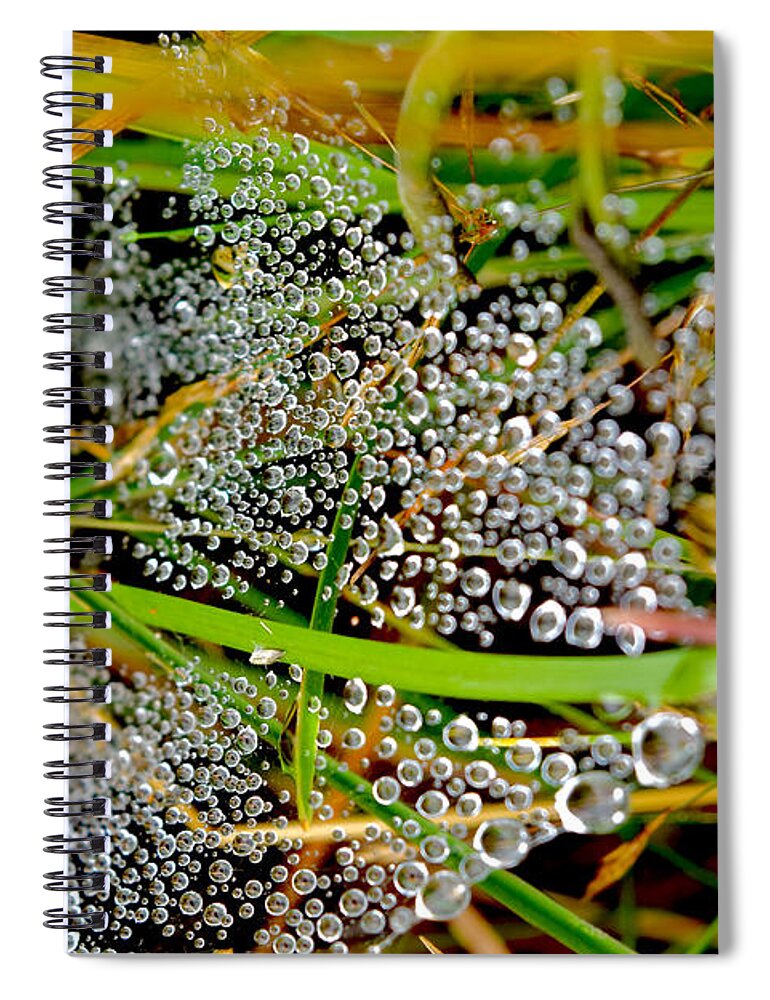 Dewdrops Spiral Notebook featuring the photograph Ephemeral Dewdrops on Cobwebs by Debra Banks