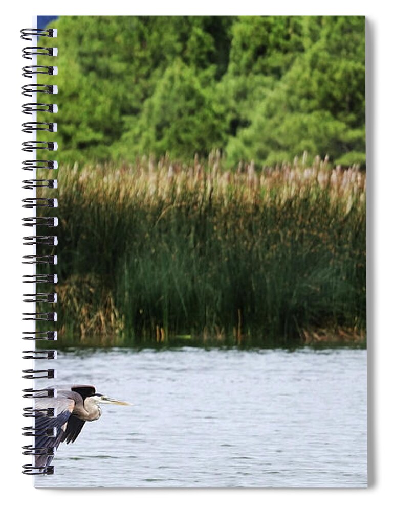Heron Spiral Notebook featuring the photograph Ephemeral Summer Flight by Laura Putman