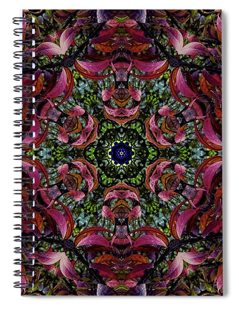 Euonymus Alatus Spiral Notebook featuring the photograph Euonymus Alatus by Allen Nice-Webb