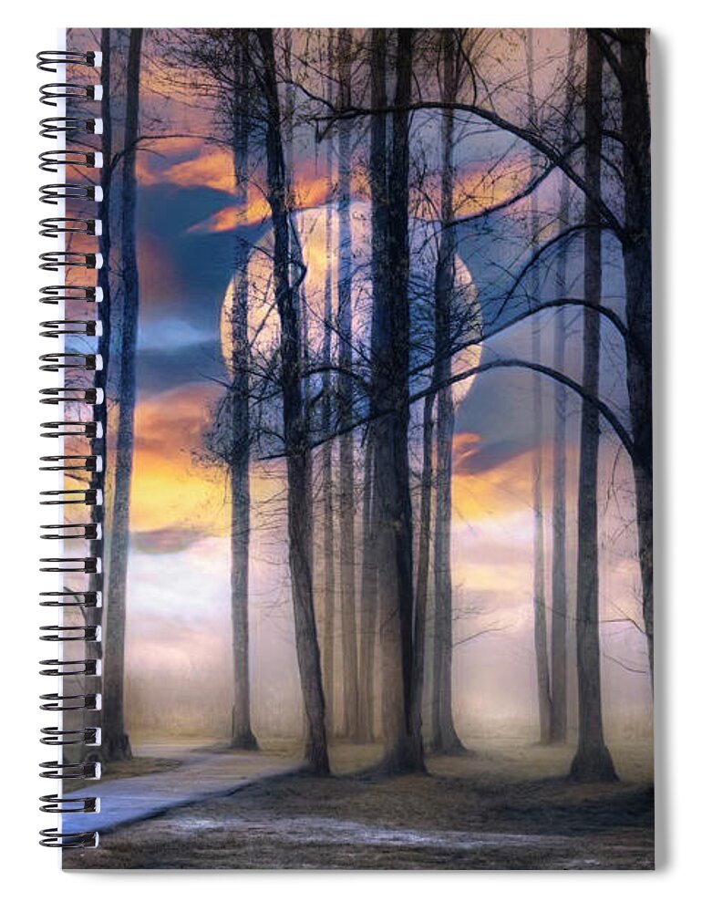 Trail Spiral Notebook featuring the photograph Evening Mystery by Debra and Dave Vanderlaan