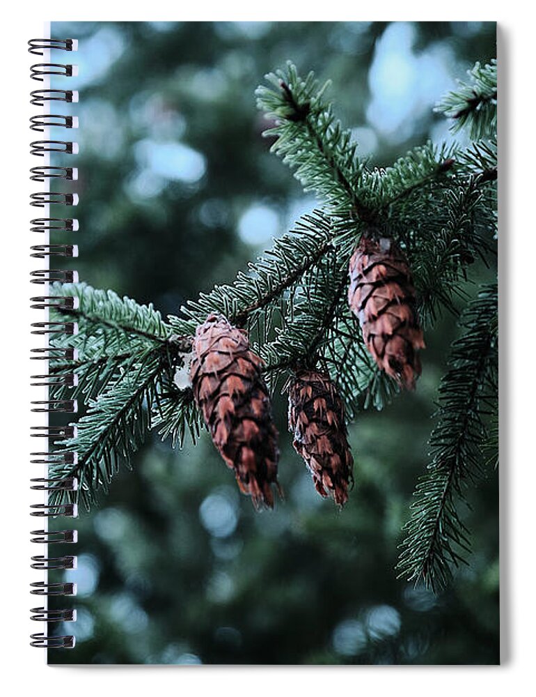 Landscape Spiral Notebook featuring the photograph Everett Pine by Jermaine Beckley