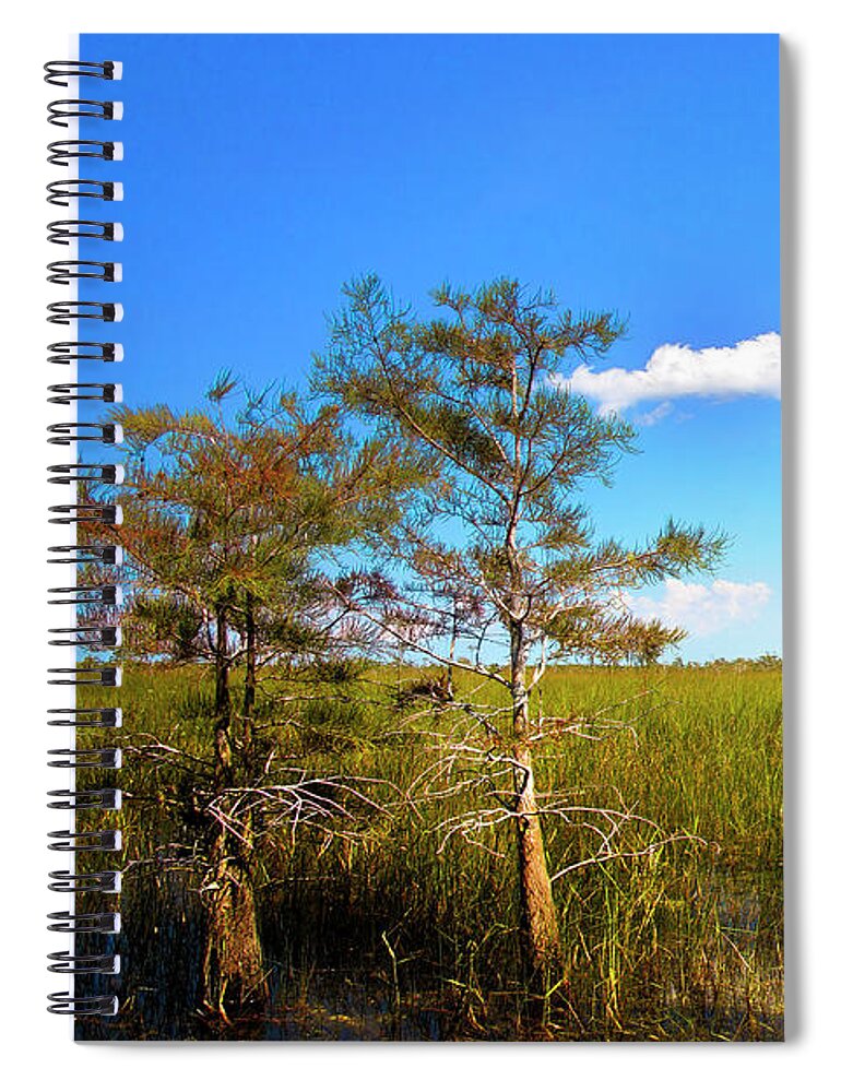 Everglades Spiral Notebook featuring the photograph Everglades 1909 by Rudy Umans