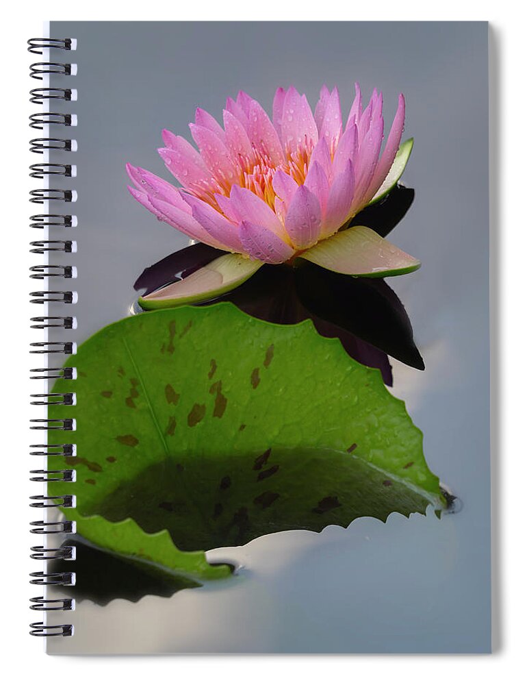 Summer Spiral Notebook featuring the photograph Existing together. by Usha Peddamatham