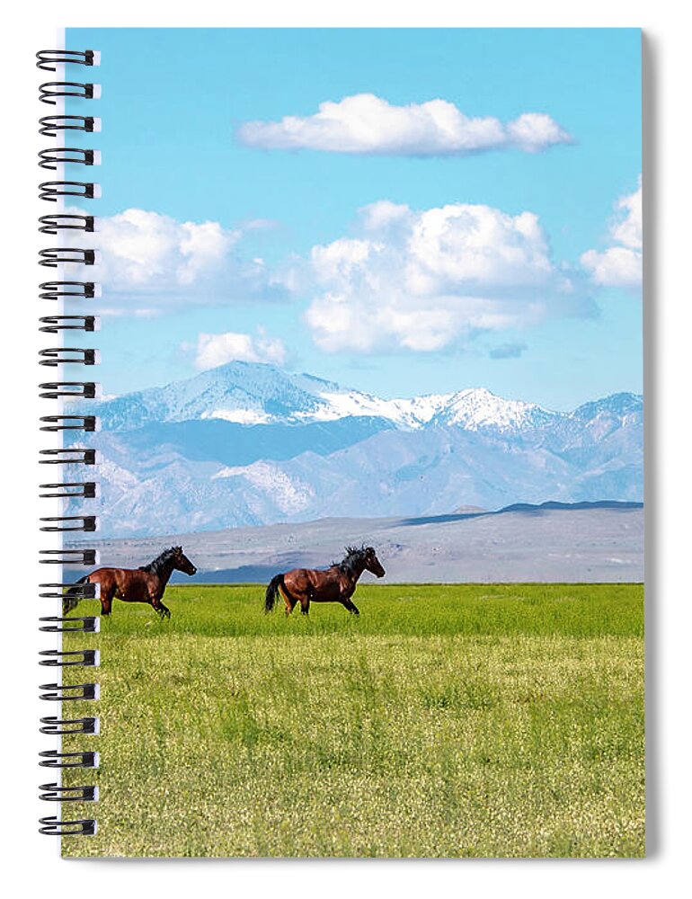  Spiral Notebook featuring the photograph Face Mask Running in Grass by Dirk Johnson