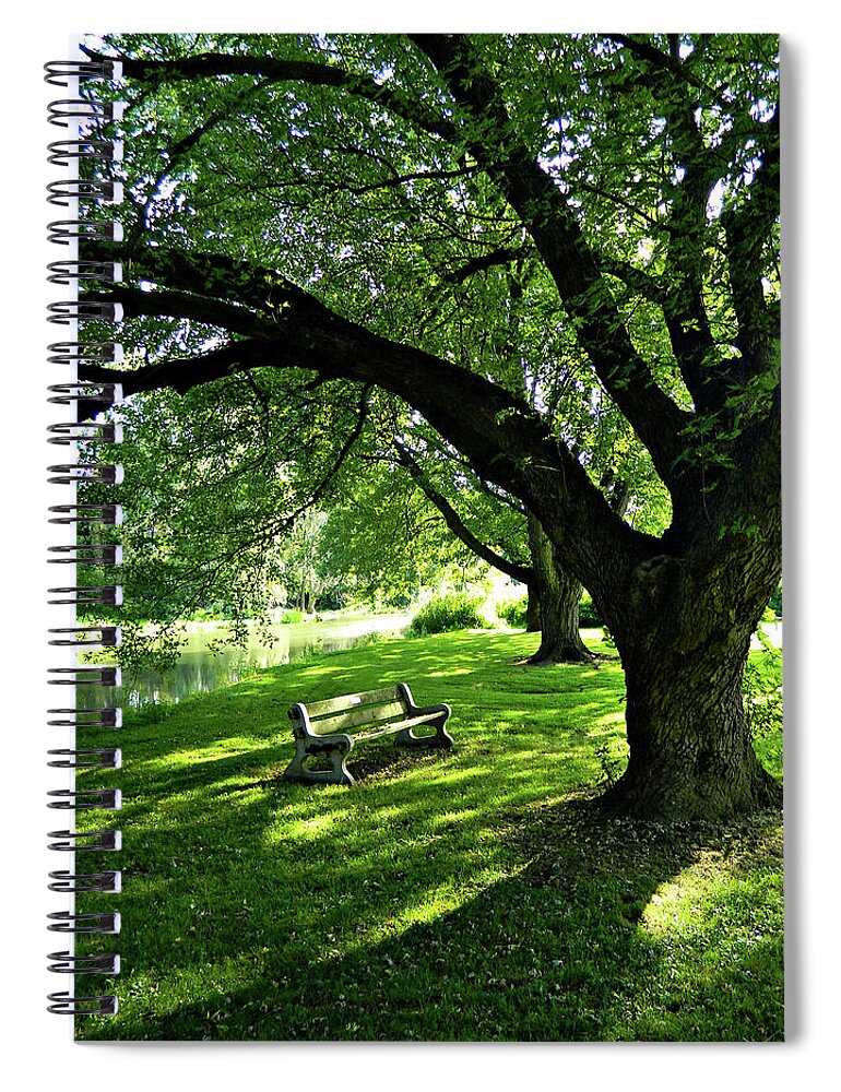 Facing The Willow Spiral Notebook featuring the photograph Facing The Willow by Cyryn Fyrcyd