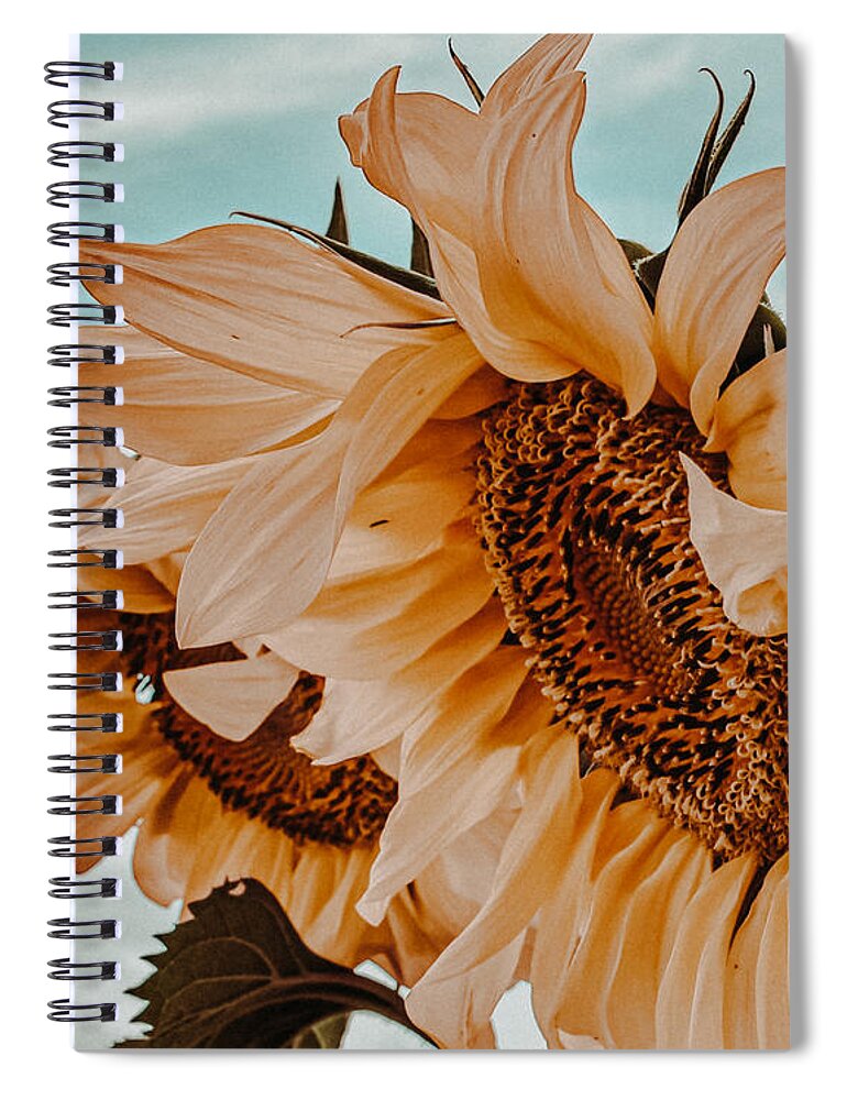 Sunflower Spiral Notebook featuring the photograph Fading Days by Bonny Puckett