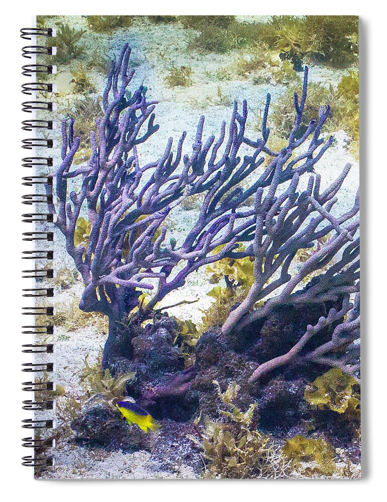 Fish Spiral Notebook featuring the photograph Fairytail Land by Lynne Browne