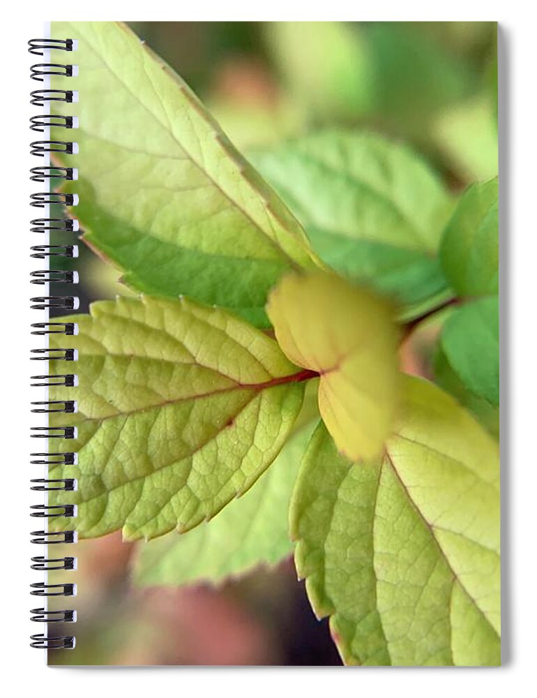 Shrub Spiral Notebook featuring the photograph Fall Beginnings by Catherine Wilson