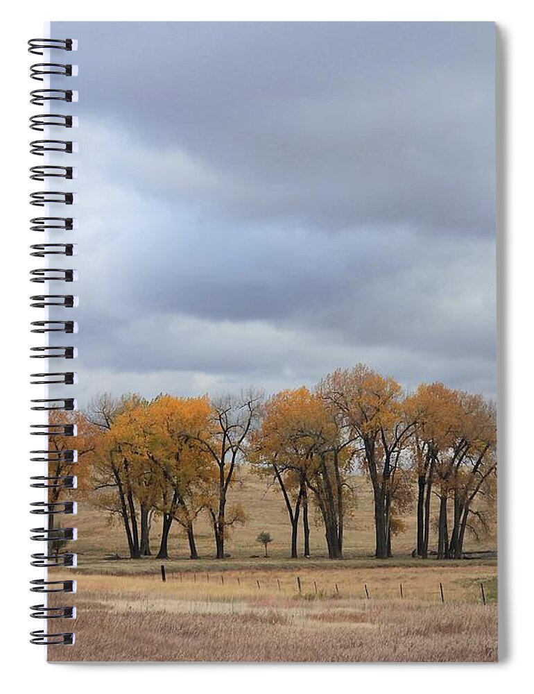 Fall Spiral Notebook featuring the photograph Fall Cluster by Amanda R Wright