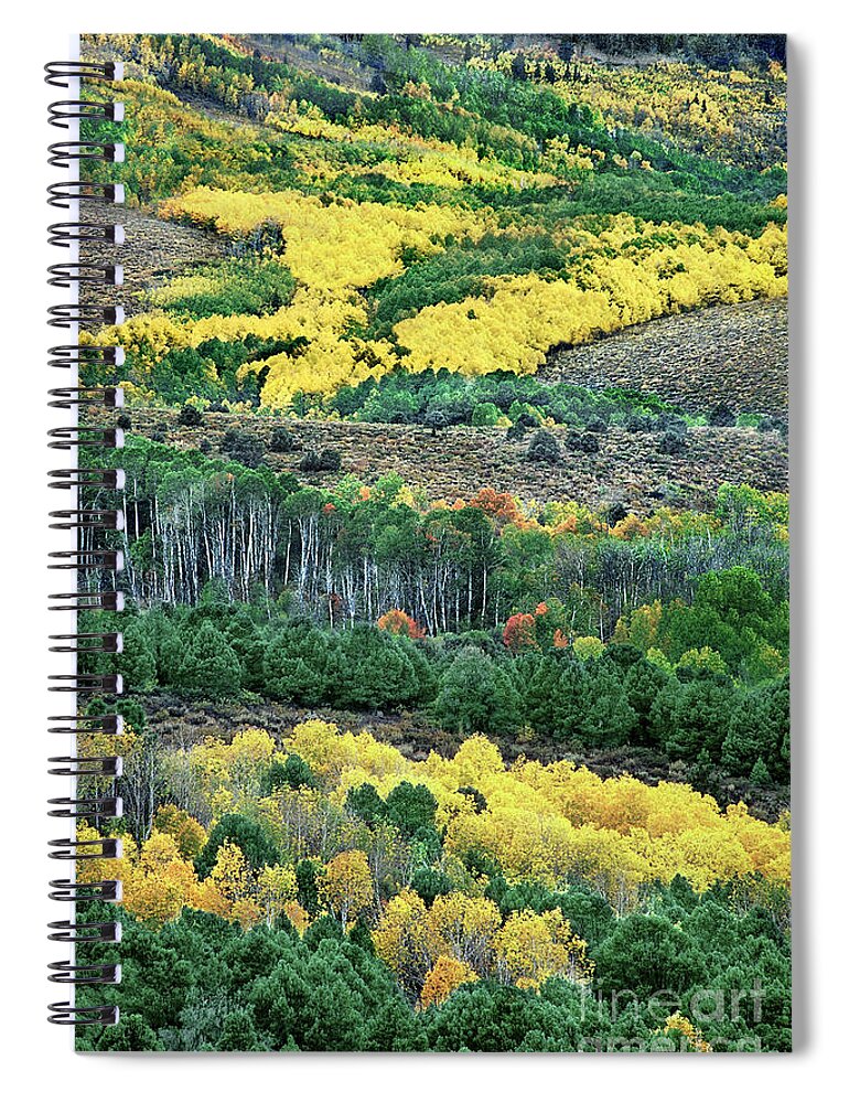 Dave Welling Spiral Notebook featuring the photograph Fall Color in the Eastern Sierras California by Dave Welling