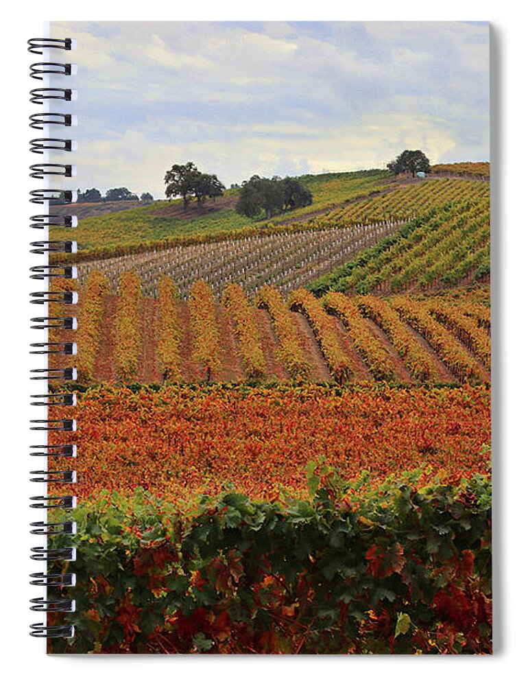 Wine Spiral Notebook featuring the photograph Fall Colored VIneyard Paso Robles California Wine Country by Stephanie Laird