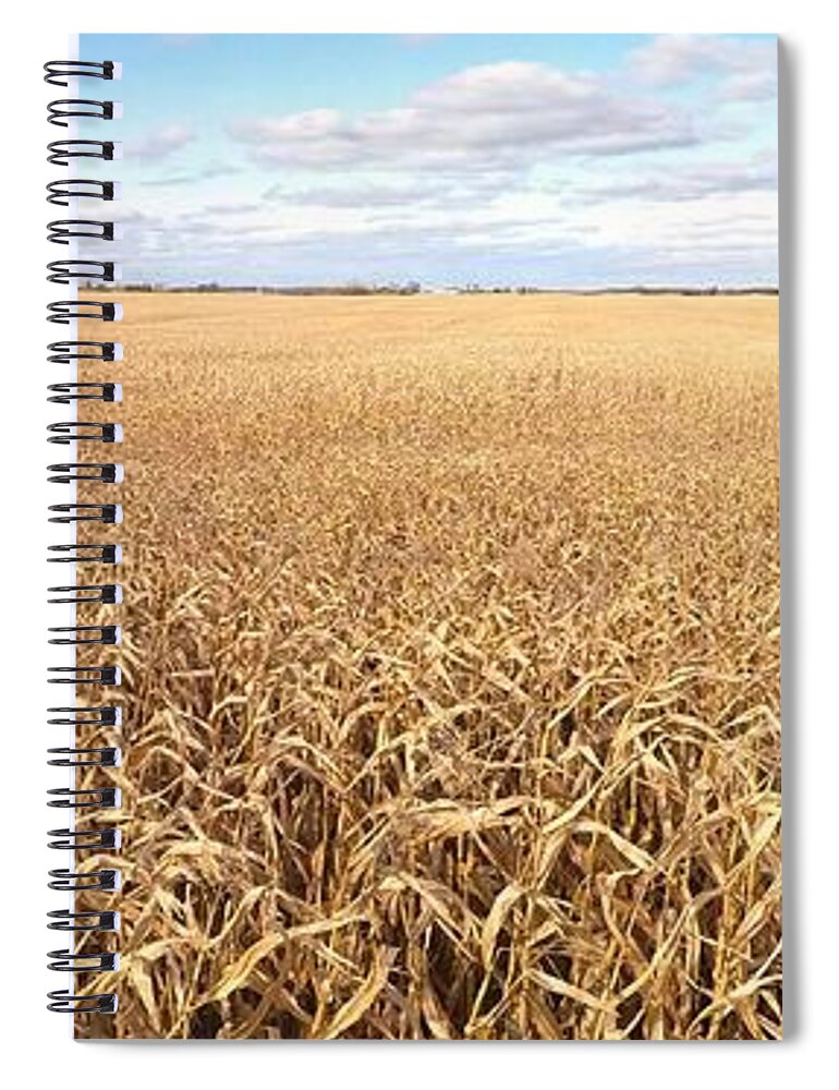 Golden Spiral Notebook featuring the photograph Fall Corn Panorama by Pete Klinger