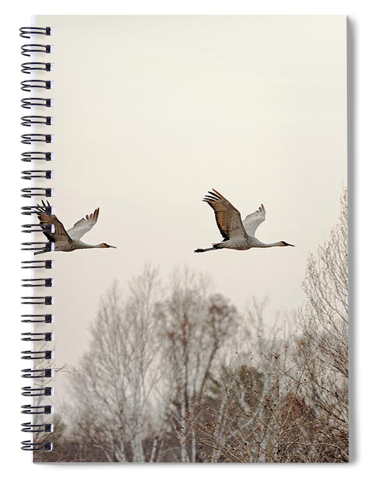 Crane Spiral Notebook featuring the photograph Fall Flight of Sandhill Crane by Natural Focal Point Photography