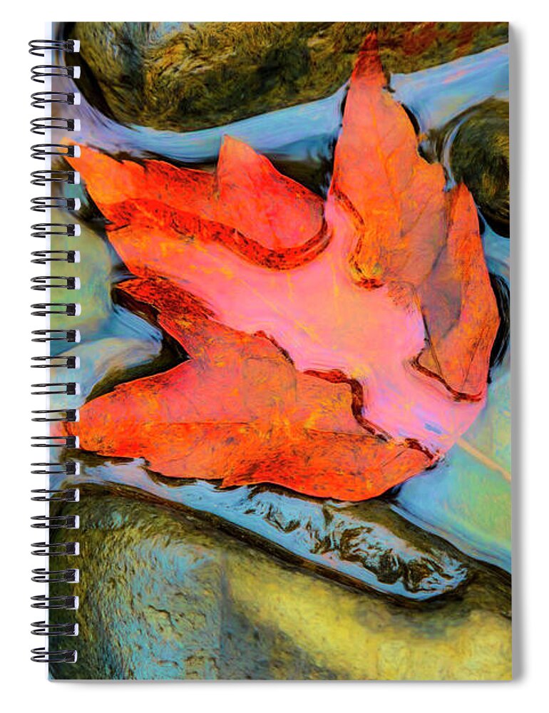 Carolina Spiral Notebook featuring the photograph Fall Float Painting by Debra and Dave Vanderlaan