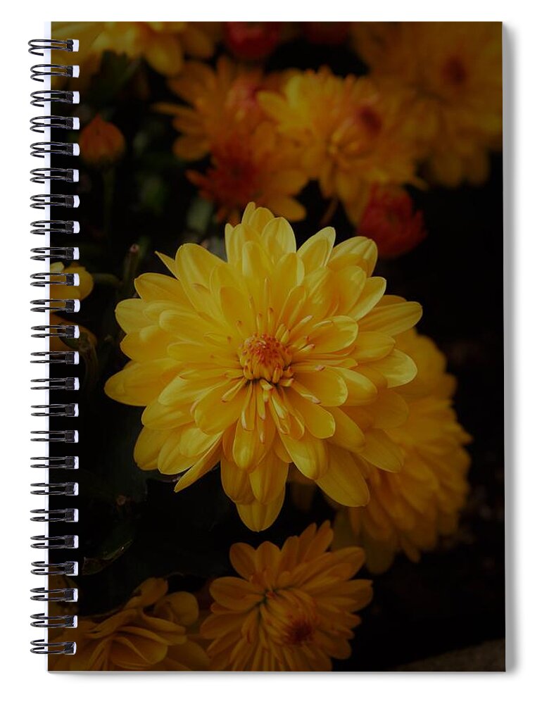 Flower Spiral Notebook featuring the photograph Fall Flowers by Karen Harrison Brown