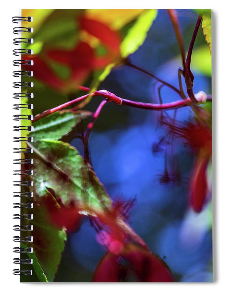Trees Spiral Notebook featuring the photograph Fall Foliage in New England by Amelia Pearn