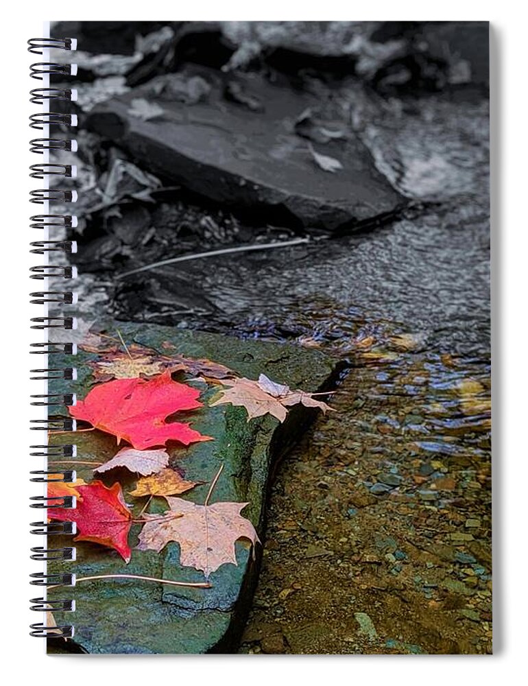  Spiral Notebook featuring the photograph Fall Leaves by Brad Nellis