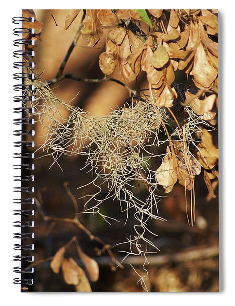  Spiral Notebook featuring the photograph Fall Moss by Heather E Harman