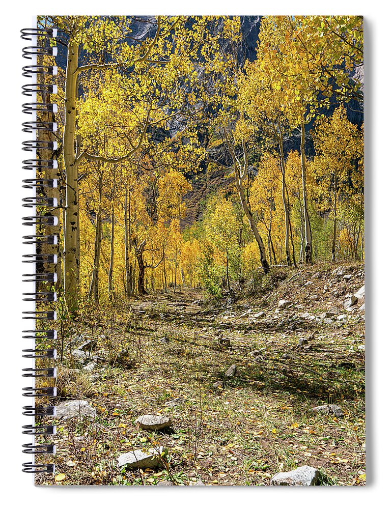 Aspens Spiral Notebook featuring the photograph Fall Mountain Road by Ron Long Ltd Photography