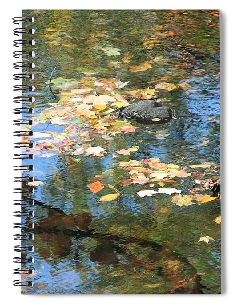 Photo Spiral Notebook featuring the photograph Fall Palette by B Rossitto