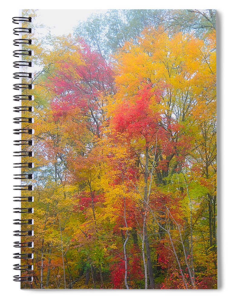 Fall Foliage Spiral Notebook featuring the photograph Fall by Segura Shaw Photography