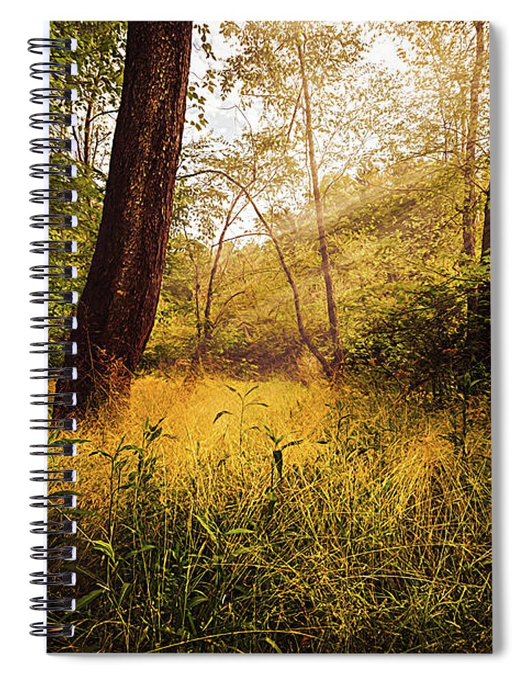 Carolina Spiral Notebook featuring the photograph Fall Sunbeams Painting by Debra and Dave Vanderlaan