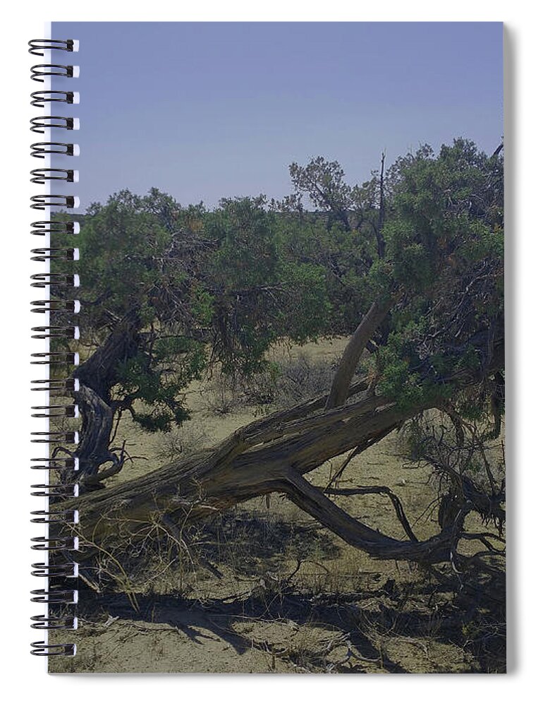 Soldiers Spiral Notebook featuring the photograph Fallen Soldier by Doug Miller