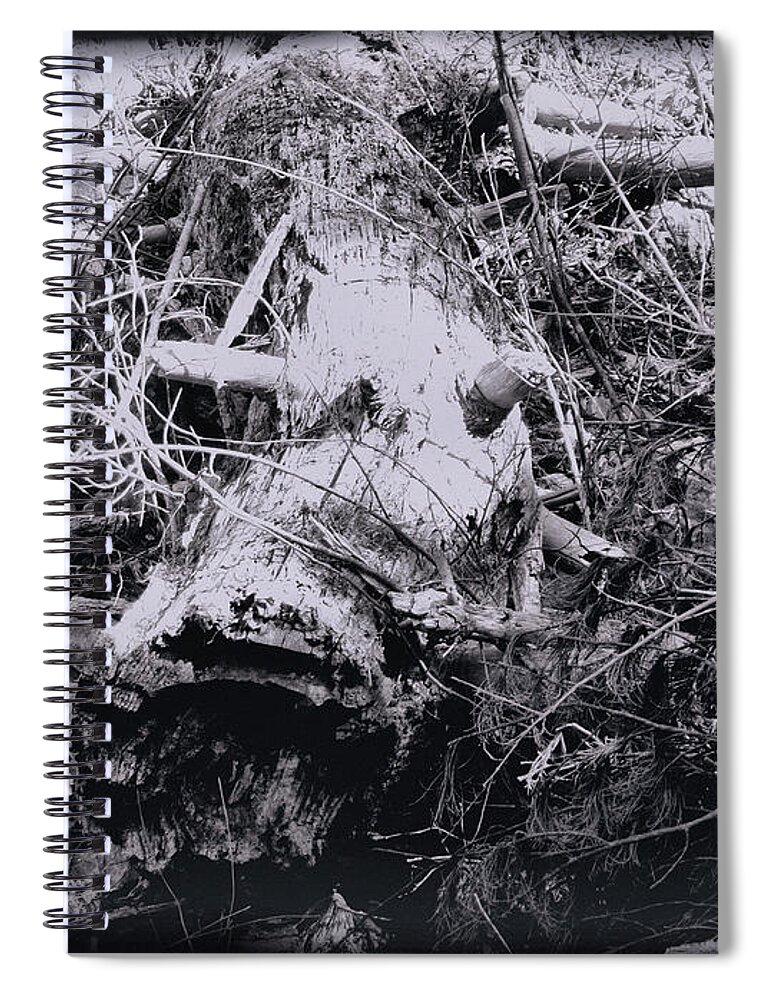 Tree Spiral Notebook featuring the photograph Fallen Tree by Christopher Reed