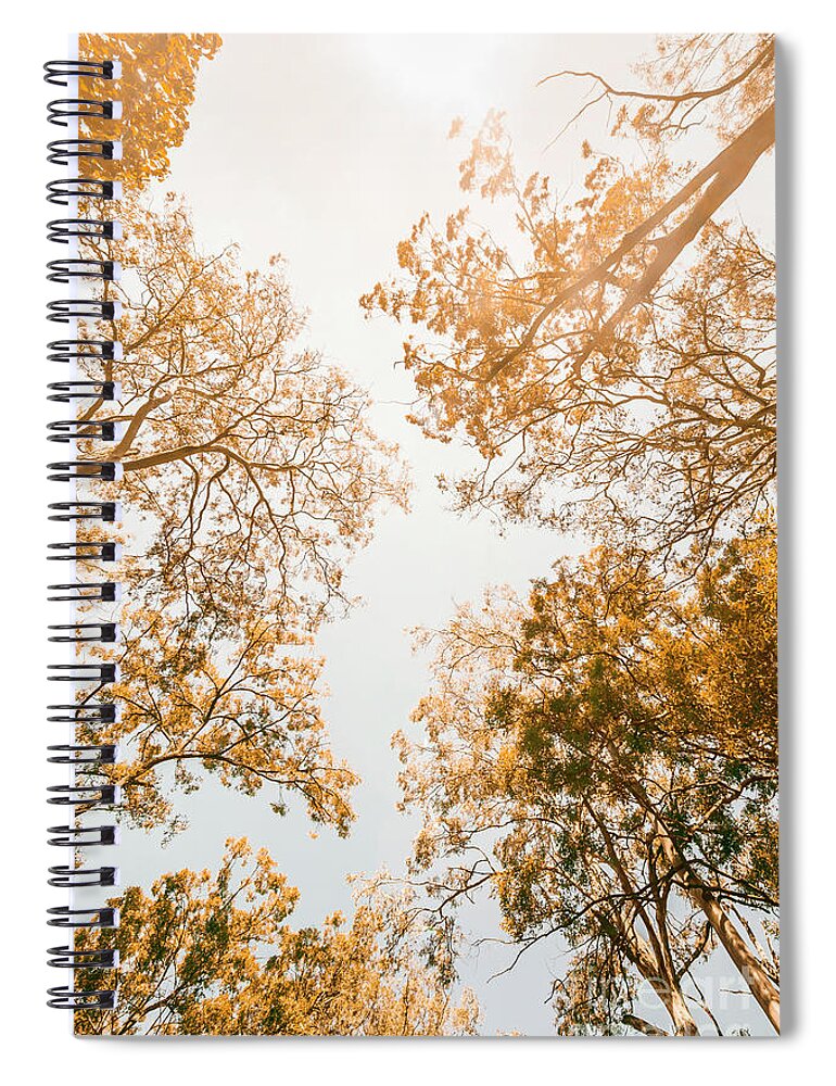 Orange Spiral Notebook featuring the photograph Falling In by Jorgo Photography