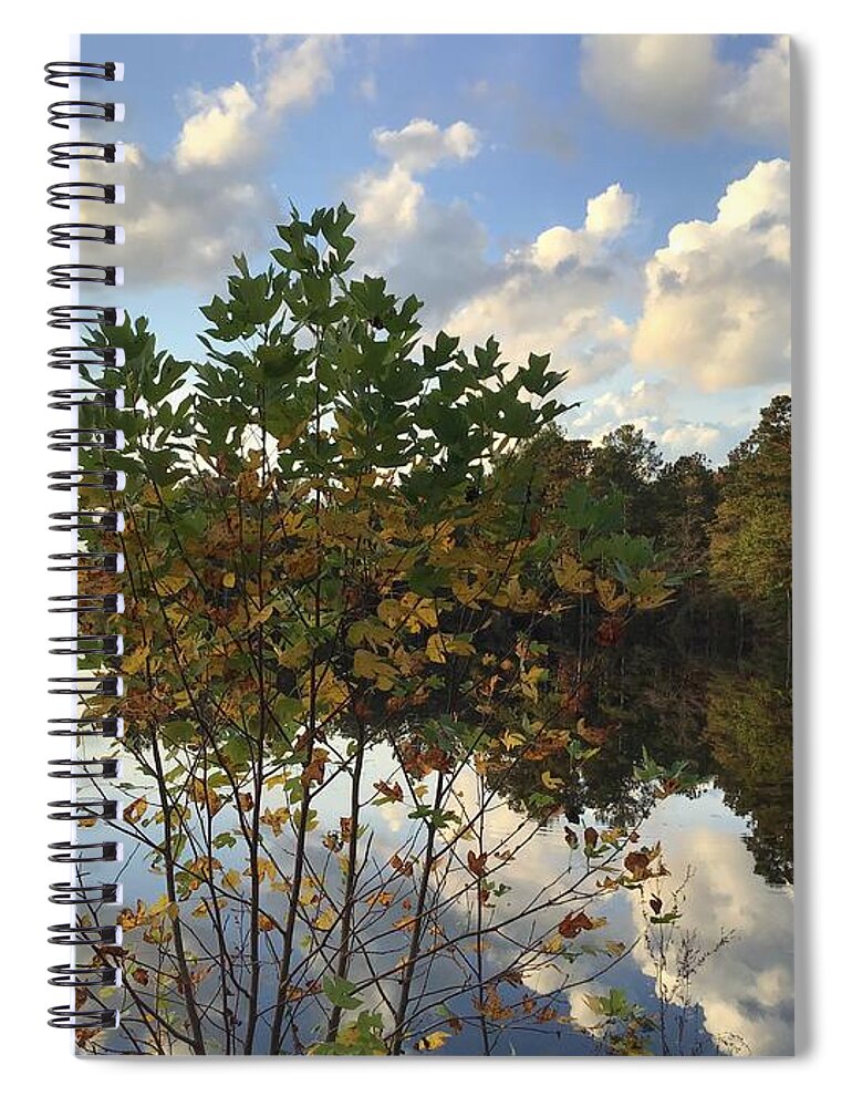 Fall Leaves Spiral Notebook featuring the photograph Johnson Millpond - Virginia Falling in Love 1 by Catherine Wilson