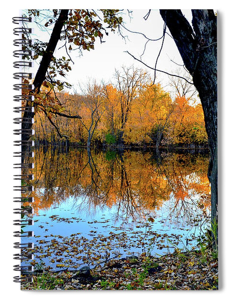 Fall Spiral Notebook featuring the photograph Falling into the Backwaters by Susie Loechler