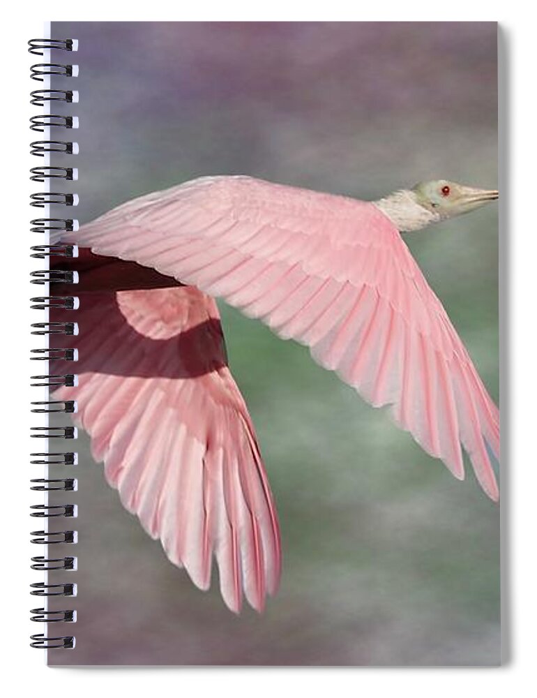 Roseate Spoonbill Spiral Notebook featuring the photograph Fantasy World by Mingming Jiang