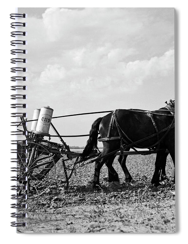 1 Person Spiral Notebook featuring the photograph Farmer Fertilizing Corn by Underwood Archives  Arthur Rothstein