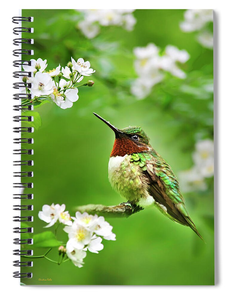 Hummingbird Spiral Notebook featuring the photograph Fauna and Flora - Hummingbird with Flowers by Christina Rollo