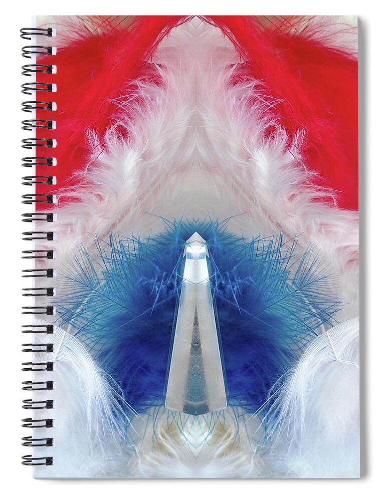  Spiral Notebook featuring the photograph FC3 by Lorella Schoales