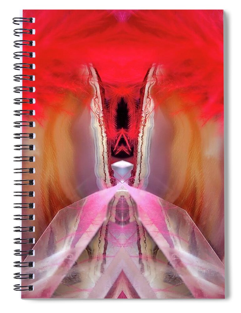  Spiral Notebook featuring the photograph FC6 by Lorella Schoales