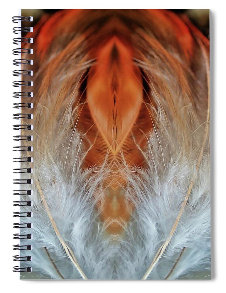  Spiral Notebook featuring the photograph Feather 1 by Lorella Schoales