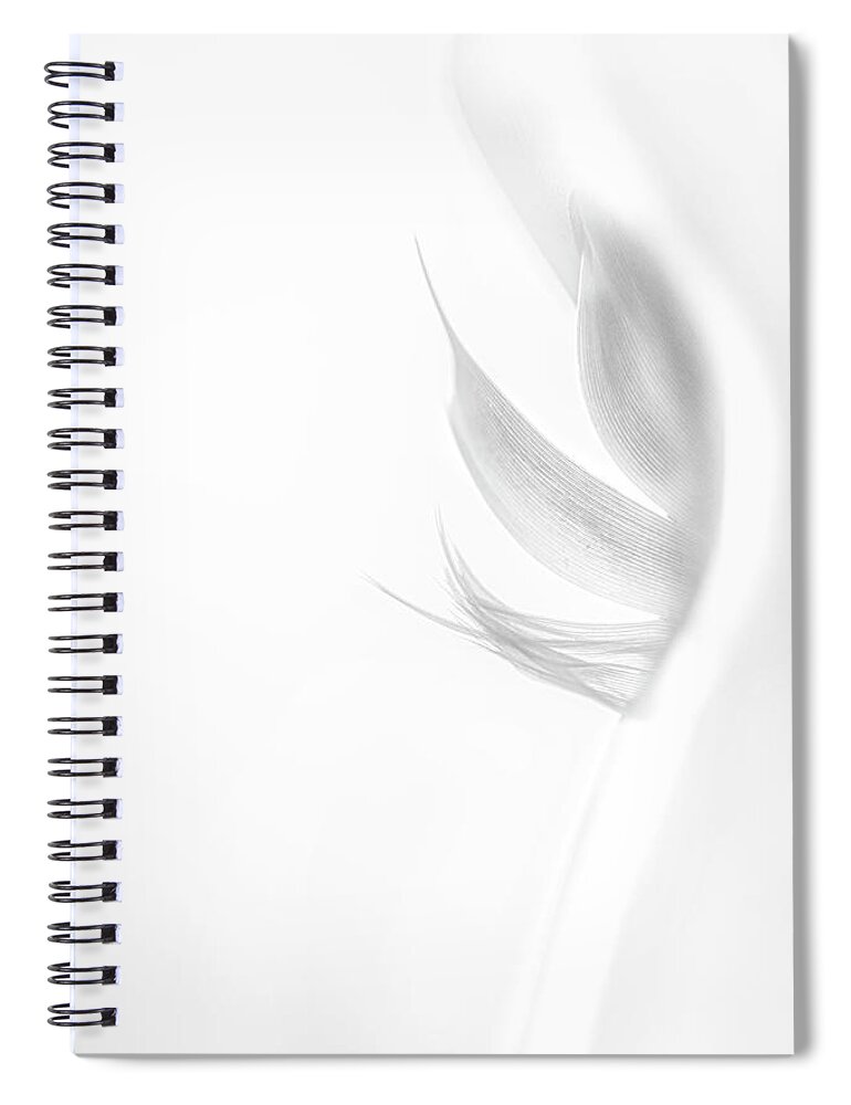 Feather Spiral Notebook featuring the photograph Feather 2 by Kathy Paynter