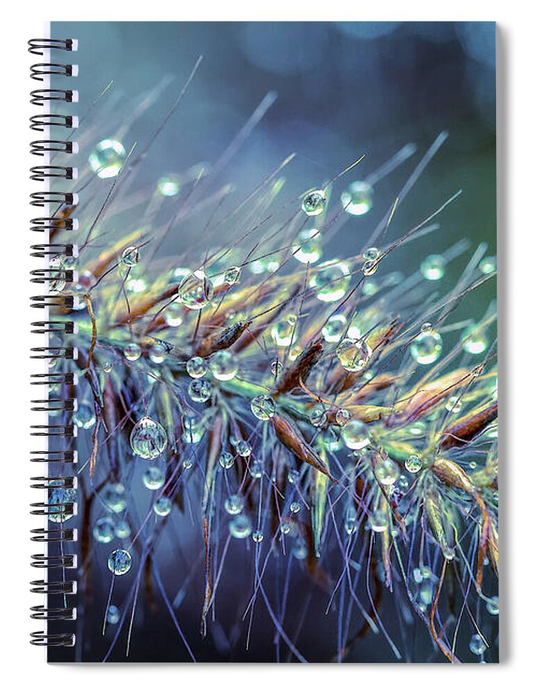 Water Spiral Notebook featuring the digital art Feather Grass Dance by Jean OKeeffe Macro Abundance Art
