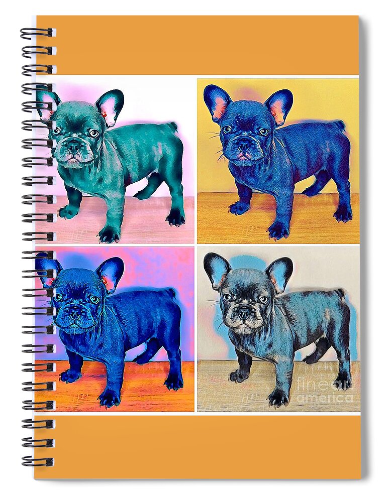 Blue French Bulldog. Frenchie. Dog. Pet. Animals. Spiral Notebook featuring the photograph Feeling Bully by Denise Railey