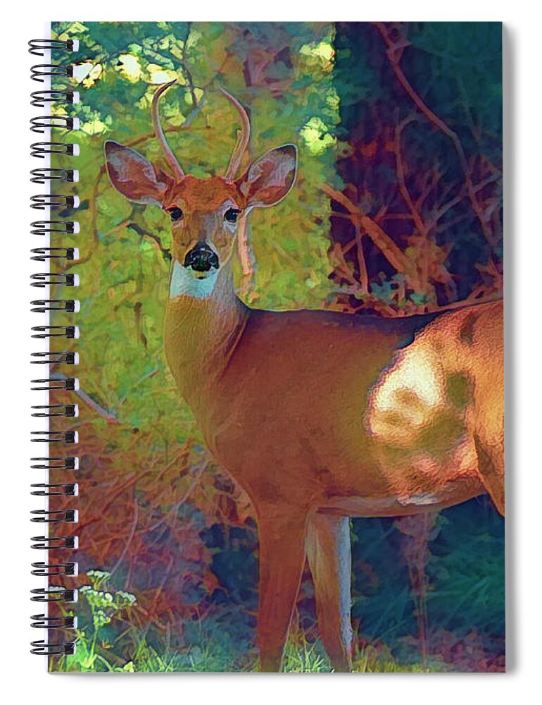 Deer Spiral Notebook featuring the photograph Felted Colors by Bill and Linda Tiepelman