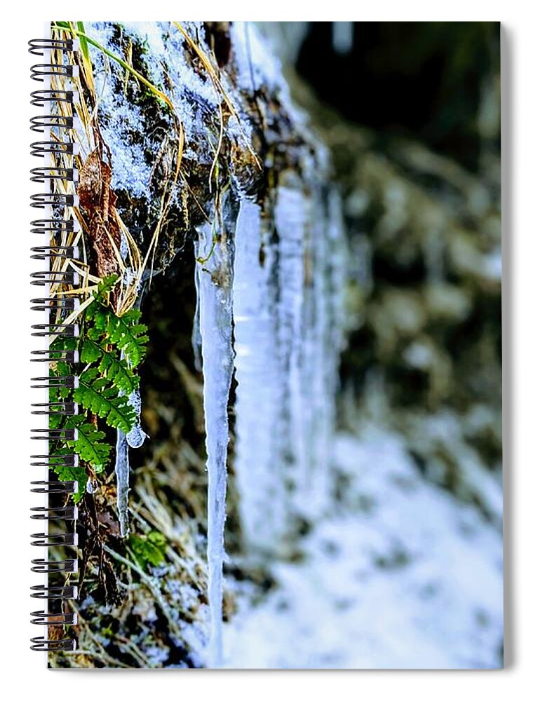 Spiral Notebook featuring the photograph Fern and Icicles by Brad Nellis