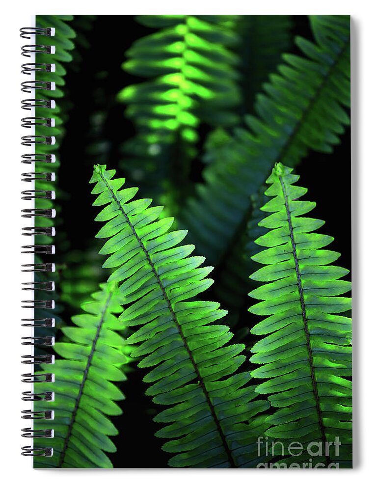 Botanical Spiral Notebook featuring the photograph Ferns by Becqi Sherman